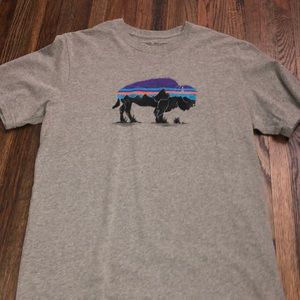 patagonia shirt